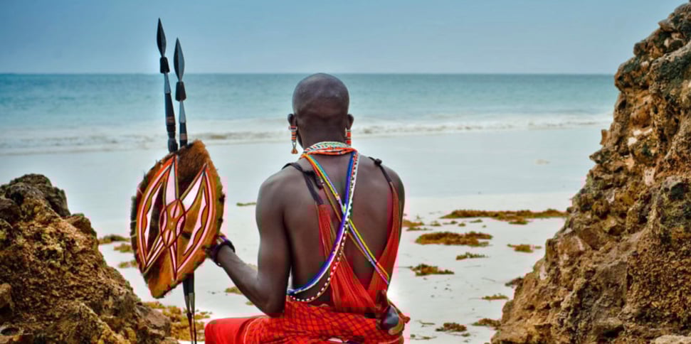 insight featured image