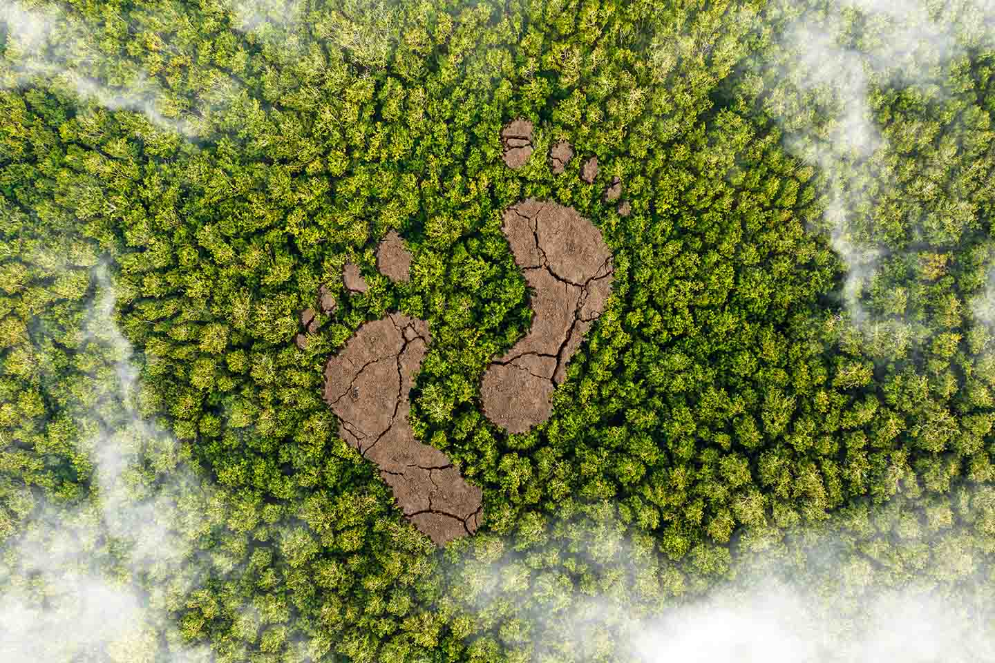 Environmental footprint